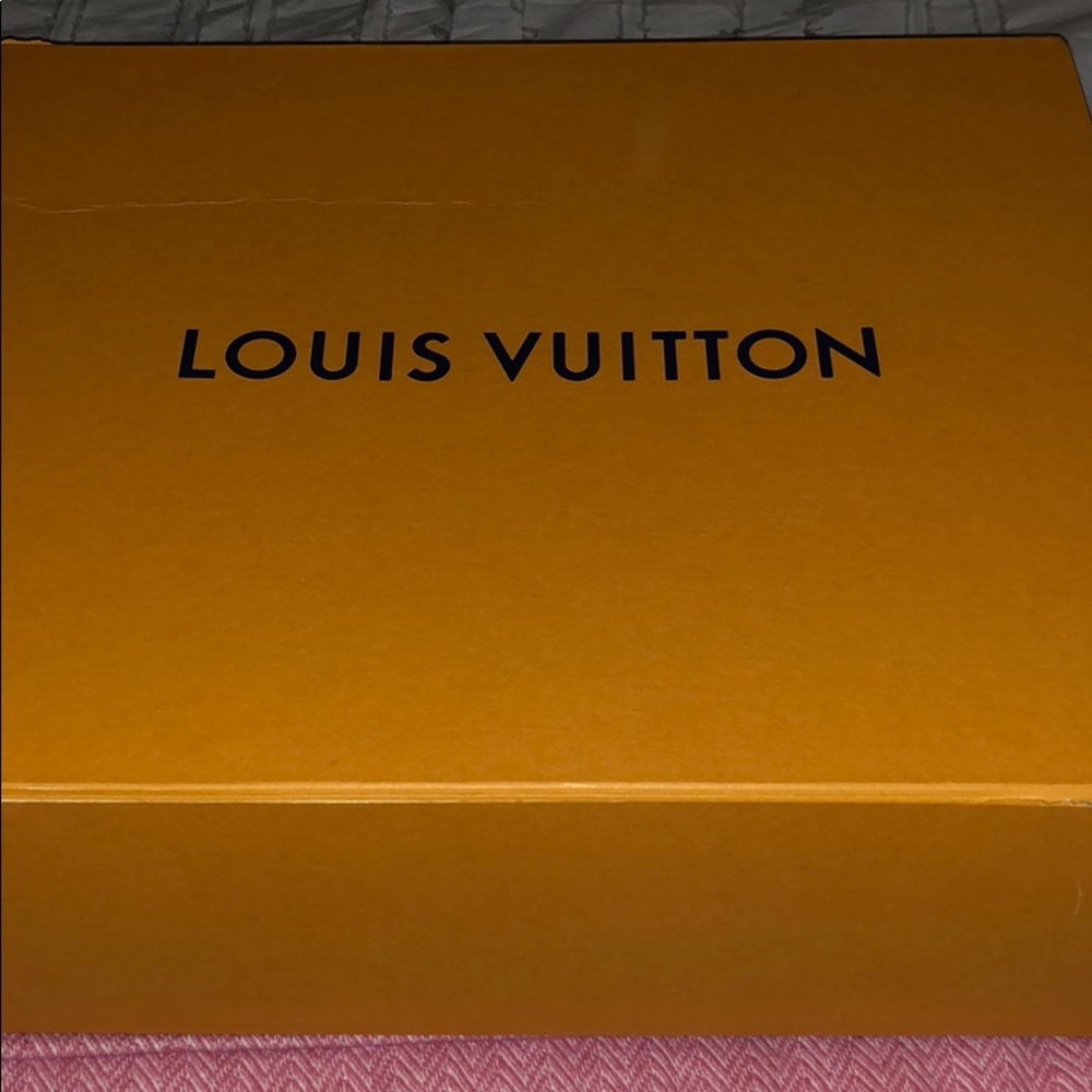 Louis Vuitton Bag - Authentic with Receipt